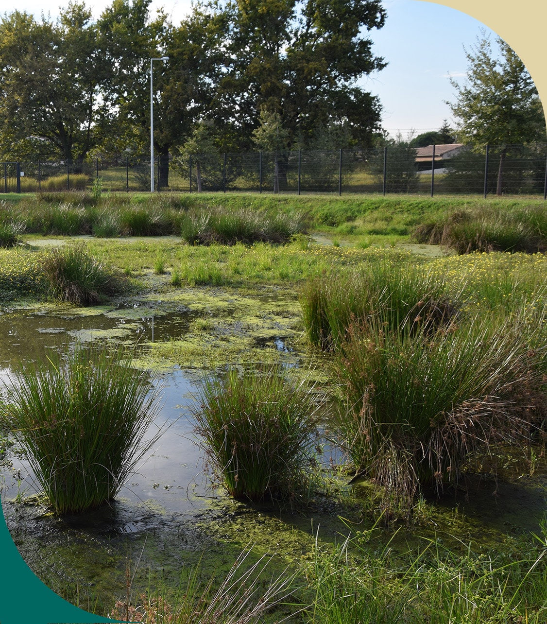 Actions concrètes DISCAC pour la réduction de son impact environnemental