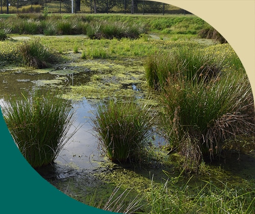 Actions concrètes DISCAC pour la réduction de son impact environnemental